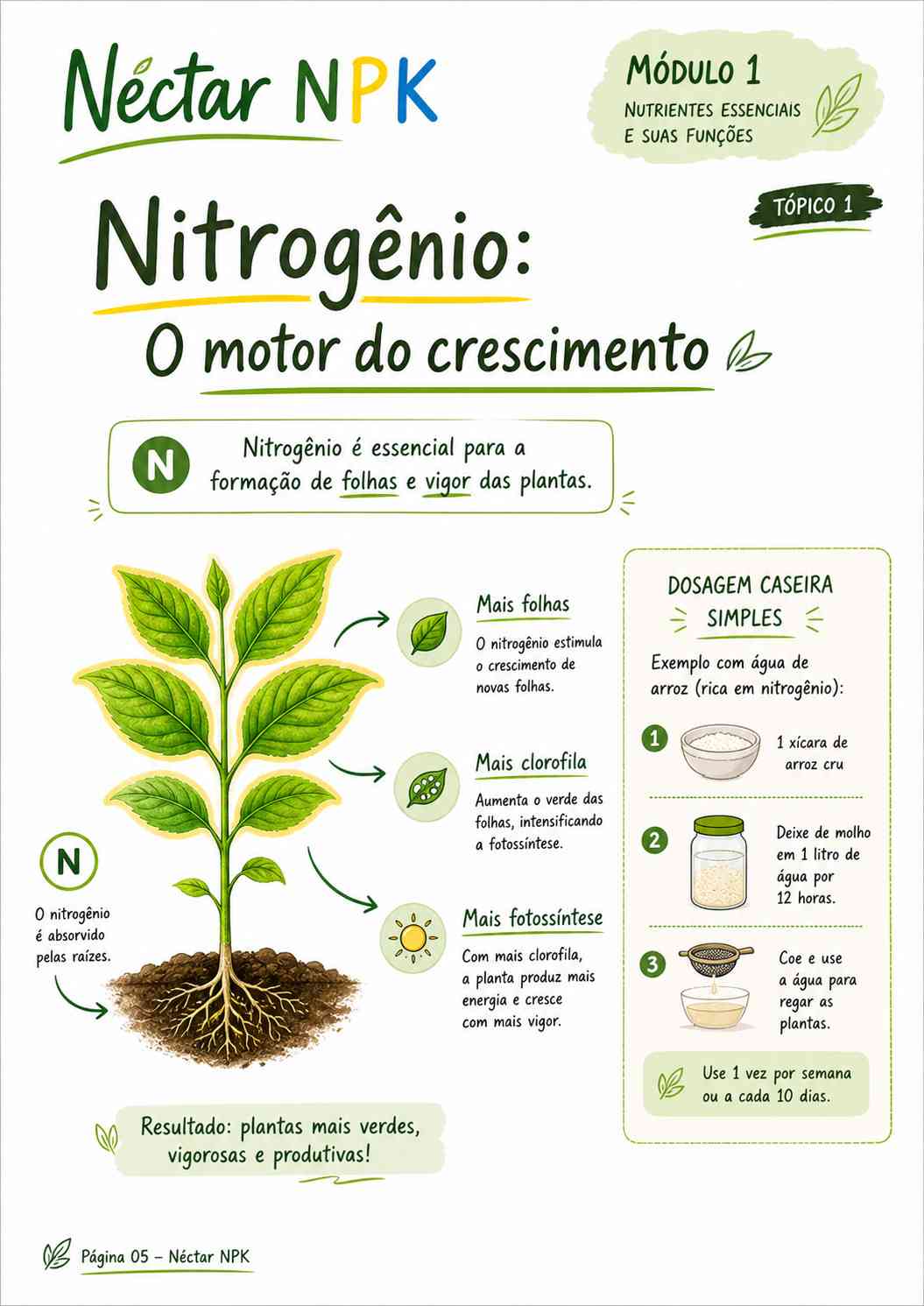 Página 6